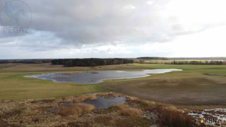 Pruszewiec, ul. , , Działki  na sprzedaż