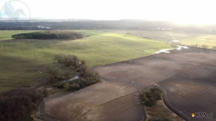 , Pruszewiec, ul. , Działki  na sprzedaż