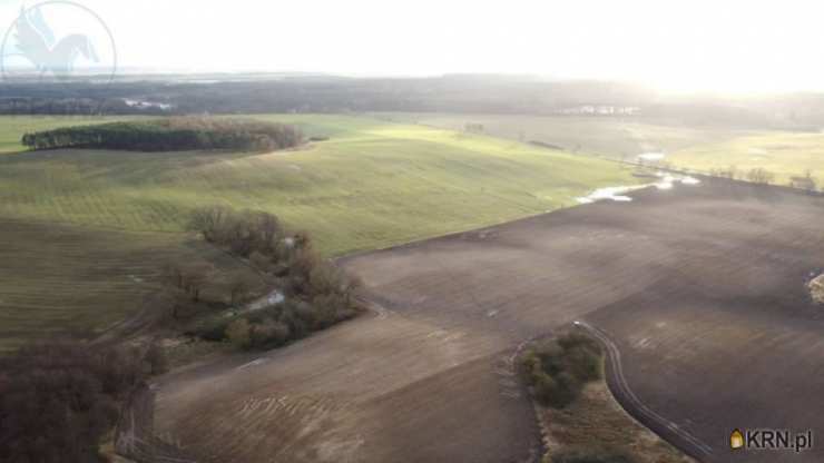 Działki  na sprzedaż, Pruszewiec, ul. , 