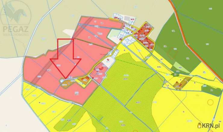 Działki  na sprzedaż, , Pruszewiec, ul. 