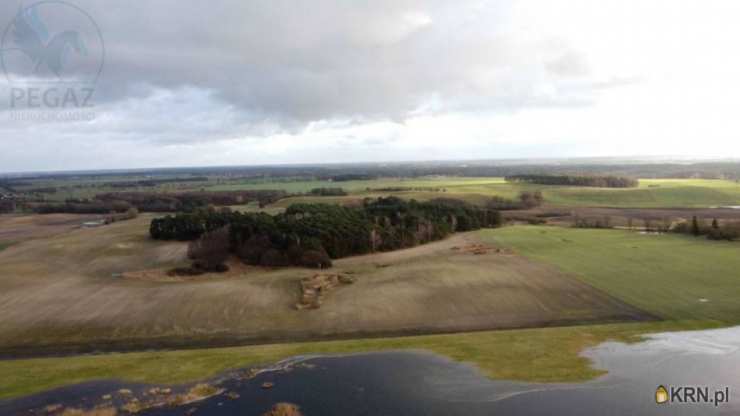 Pegaz Nieruchomości, Działki  na sprzedaż, Pruszewiec, ul. 