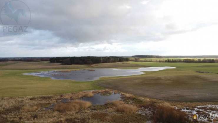 Pruszewiec, ul. , Działki  na sprzedaż, 