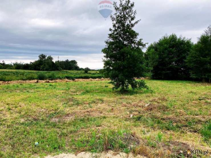 Bieniewice, ul. , Działki  na sprzedaż, 