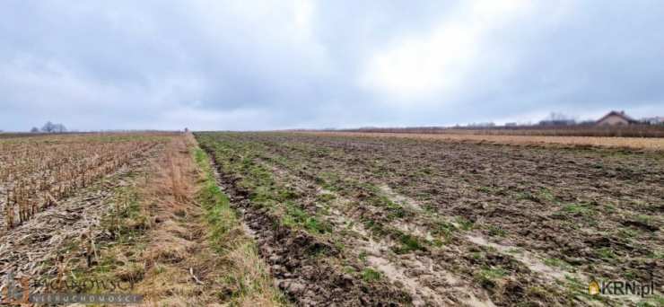 Bębło, ul. , Działki  na sprzedaż, 