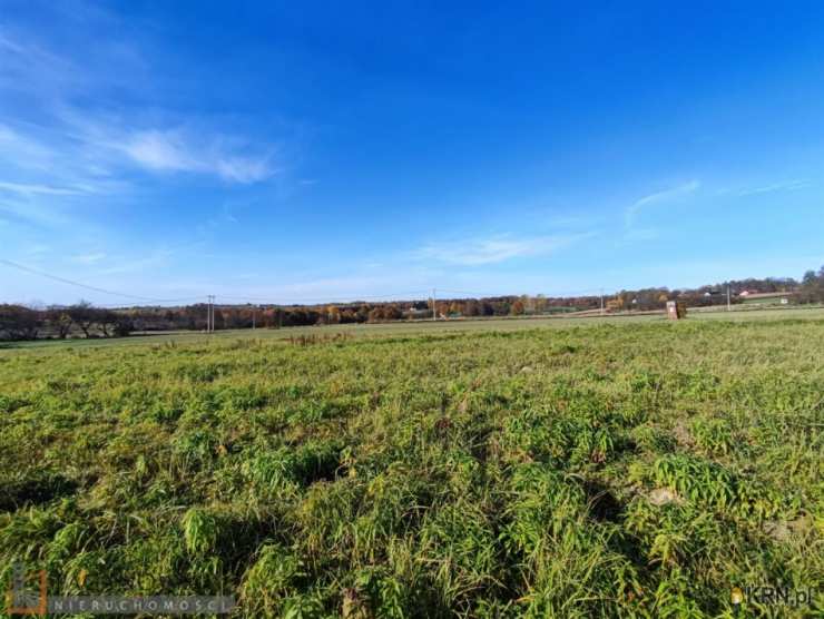 Działki  na sprzedaż, Cianowice Duże, ul. , 