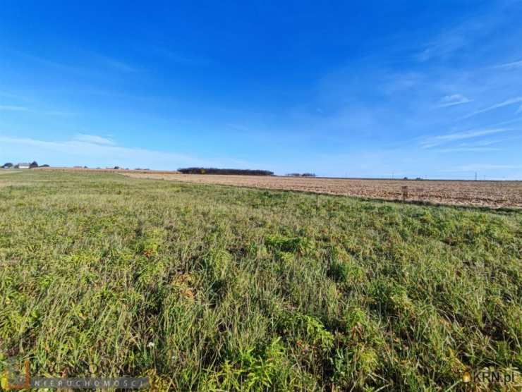 Działki  na sprzedaż, , Cianowice Duże, ul. 