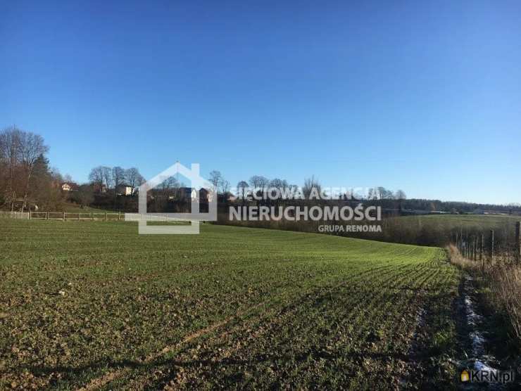 , Czarna Dąbrówka, ul. , Działki  na sprzedaż