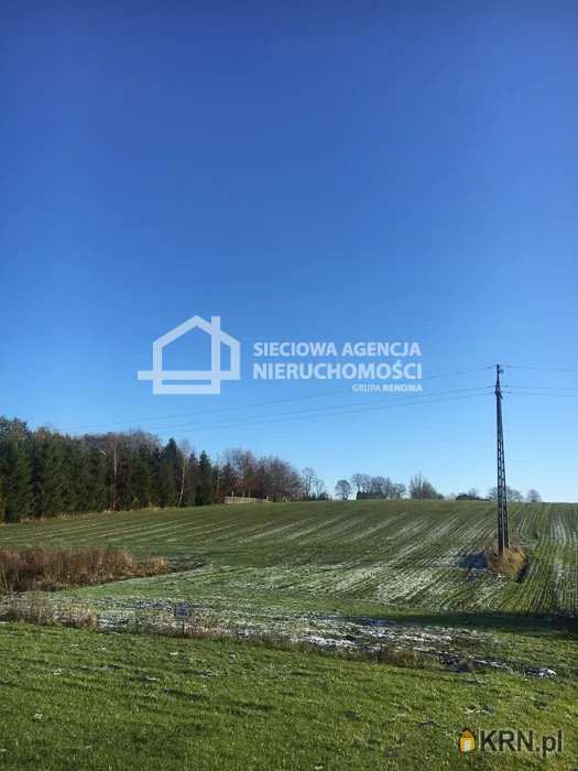 Działki  na sprzedaż, Czarna Dąbrówka, ul. , 