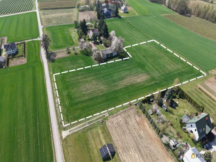 Działki  na sprzedaż, , Drzewce-Kolonia, ul. 