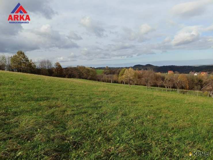 Działki  na sprzedaż, Jodłownik, ul. , 