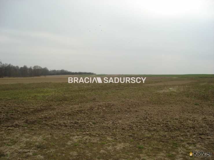 Morawica, ul. , , Działki  na sprzedaż