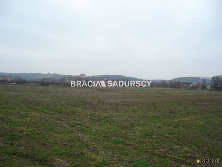 Bracia Sadurscy Oddział BS3 Przewóz, Działki  na sprzedaż, Morawica, ul. 