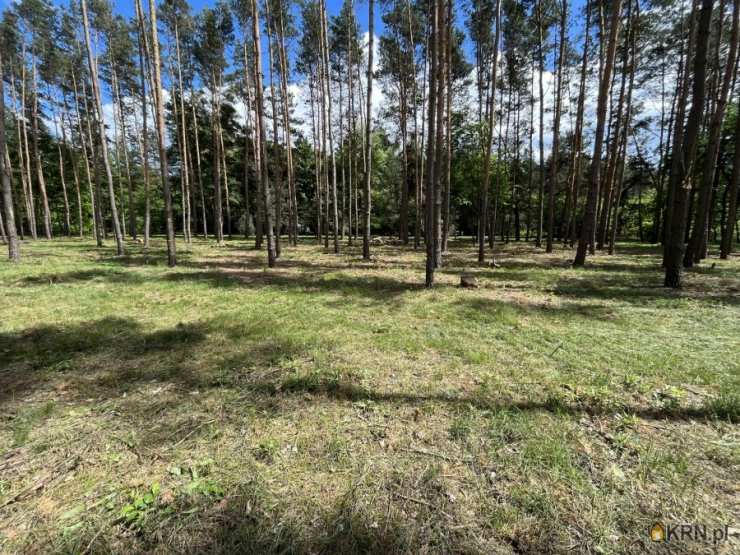 Otwock, Mlądz, ul. Krecia, Działki  na sprzedaż, 