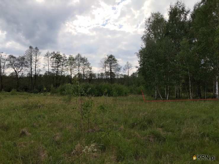 Plichta, ul. , , Działki  na sprzedaż