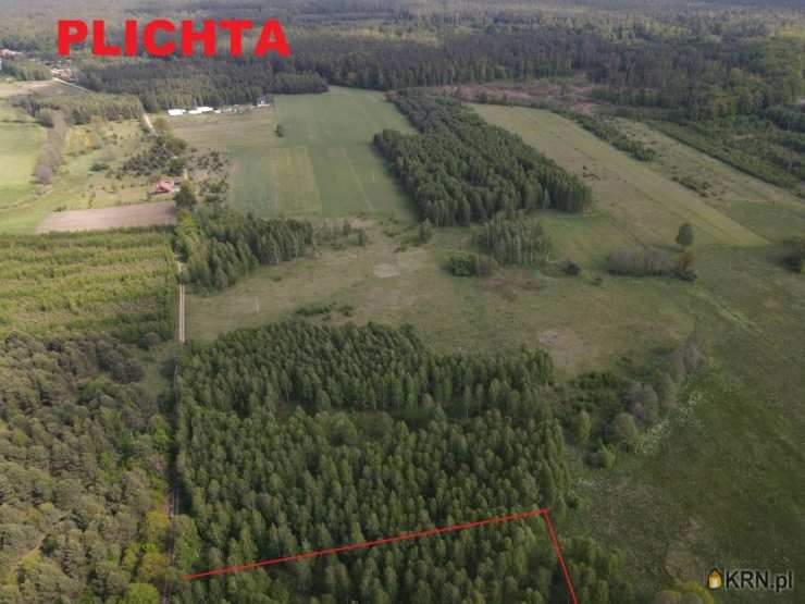 Działki  na sprzedaż, Plichta, ul. , 