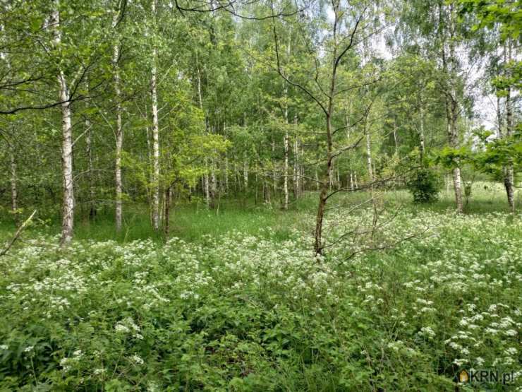 Działki  na sprzedaż, , Plichta, ul. 