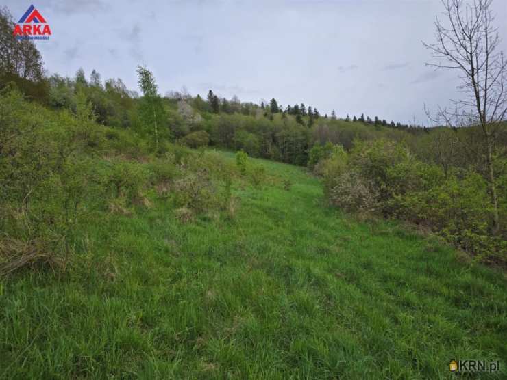 Działki  na sprzedaż, Podobin, ul. , 