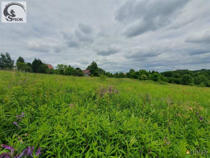 Tomaszkowice, ul. , , Działki  na sprzedaż