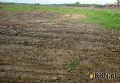 Działki  na sprzedaż, Warszawa, Wawer, ul. Borków, 