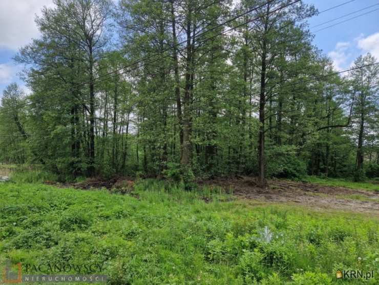 Zamłynie, ul. , Działki  na sprzedaż, 