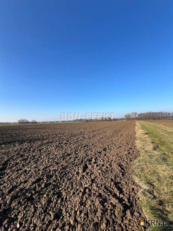 Działki  na sprzedaż, Skoczów, ul. , 