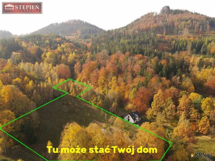 Działki  na sprzedaż, Trzcińsko, ul. , 