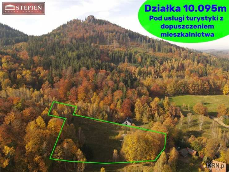 Działki  na sprzedaż, , Trzcińsko, ul. 