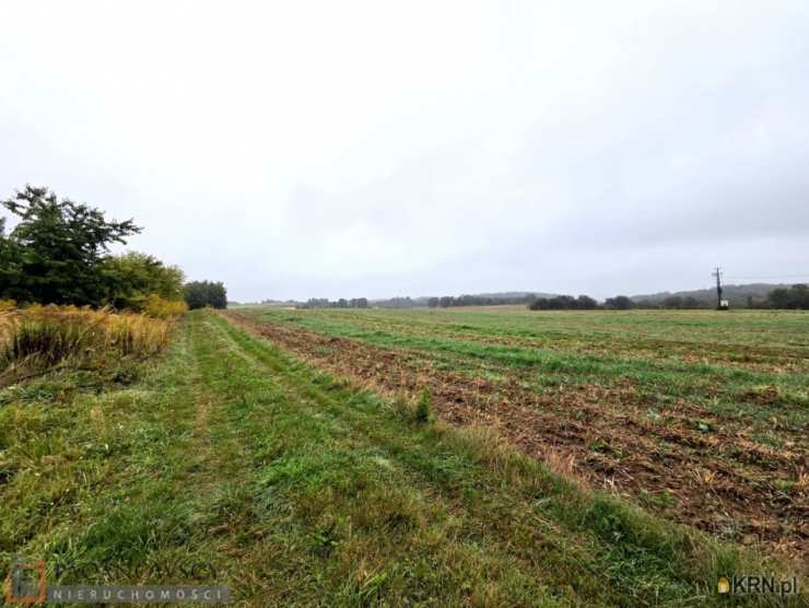 Działki  na sprzedaż, Rzeplin, ul. , 