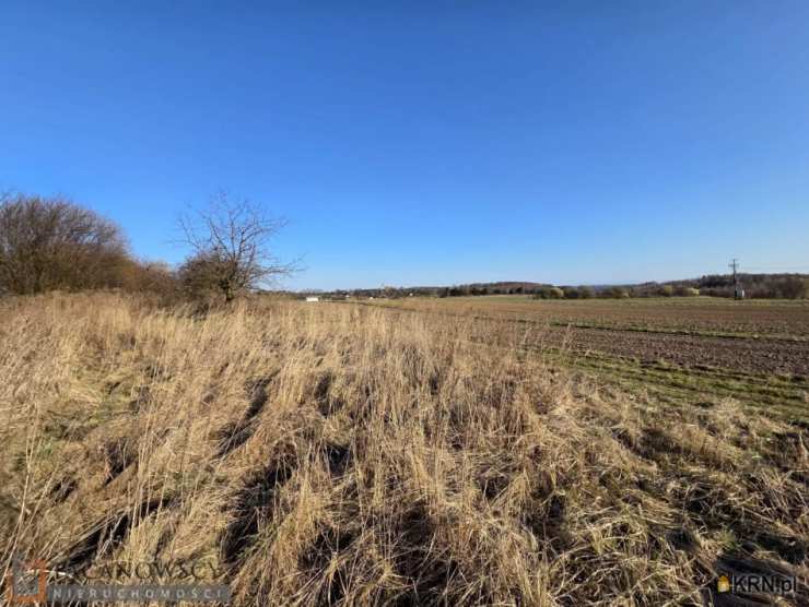 Działki  na sprzedaż, Rzeplin, ul. , 