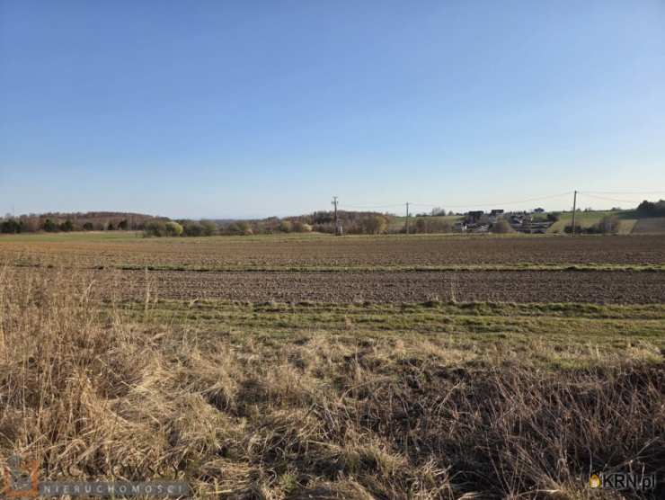 Działki  na sprzedaż, , Rzeplin, ul. 