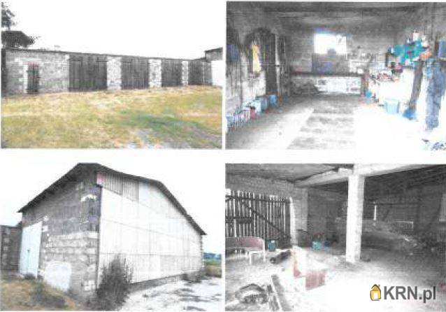 Działki  na sprzedaż, Ryńsk, ul. , 