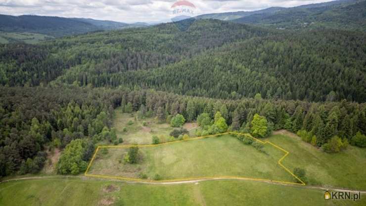 Działki  na sprzedaż, Krzeszów, ul. , 