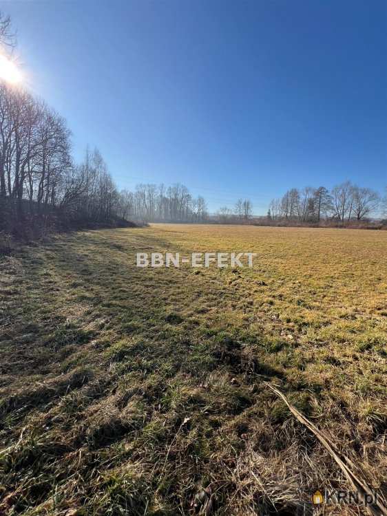 Bielskie Biuro Nieruchomości EFEKT- Krzysztof Filipek , Działki  na sprzedaż, Mazańcowice, ul. 