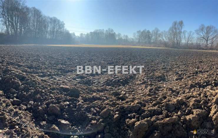 Działki  na sprzedaż, Mazańcowice, ul. , 