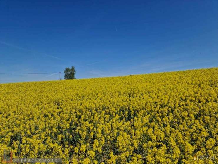 Sułkowice, ul. , , Działki  na sprzedaż