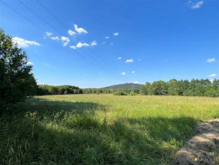 Działki  na sprzedaż, Sosnówka, ul. , 