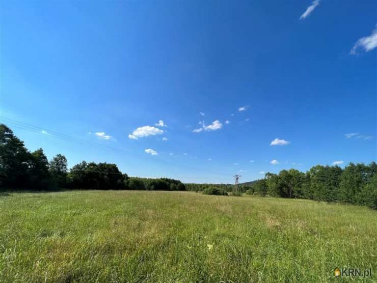 Działki  na sprzedaż, , Sosnówka, ul. 