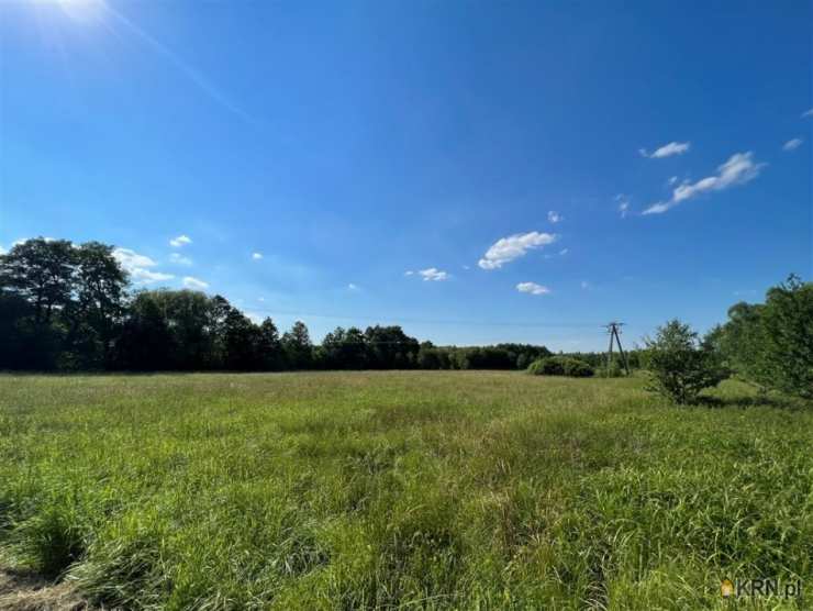 Sosnówka, ul. , , Działki  na sprzedaż