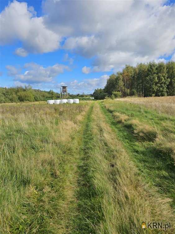 Krokowa, ul. Spacerowa, Działki  na sprzedaż, 