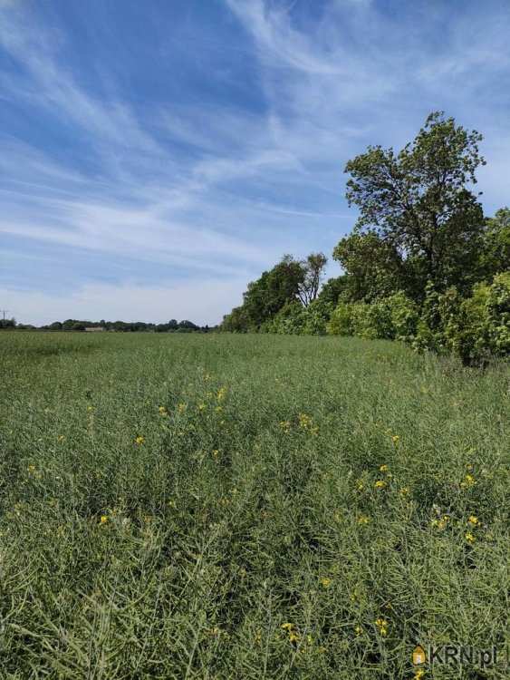 Działki  na sprzedaż, , Bolesławowo, ul. 
