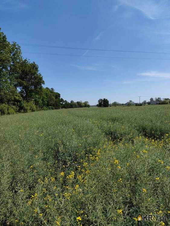 Bolesławowo, ul. , Działki  na sprzedaż, 