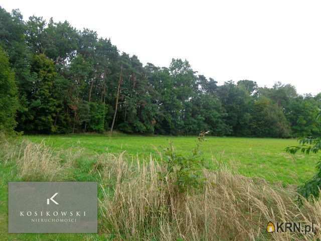 Syców, ul. , , Działki  na sprzedaż