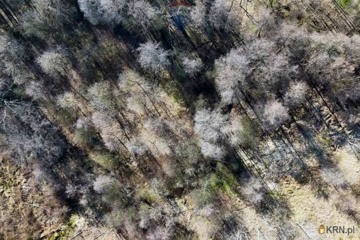 , Działki  na sprzedaż, Krzeczów, ul. 