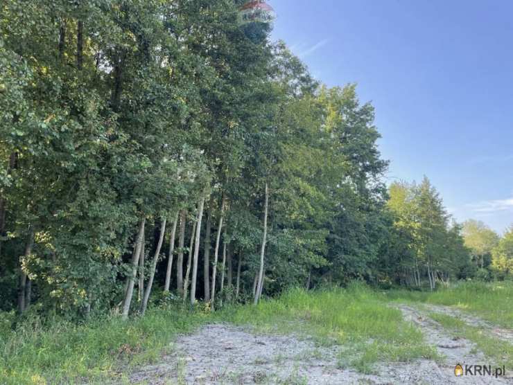 Działki  na sprzedaż, Krzeczów, ul. , 