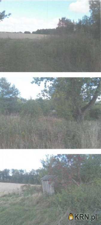 Działki  na sprzedaż, , Ślepkowo Szlacheckie, ul. 