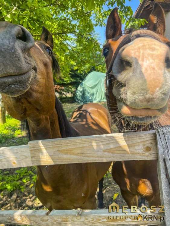 Działki  na sprzedaż, Bochnia, ul. , 
