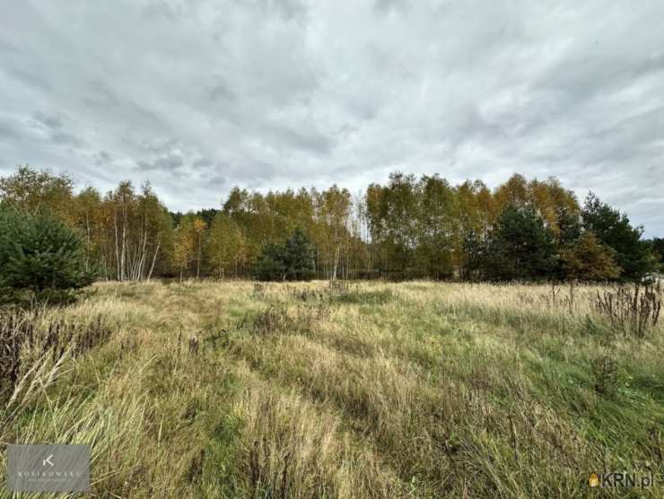 Działki  na sprzedaż, , Drołtowice, ul. 