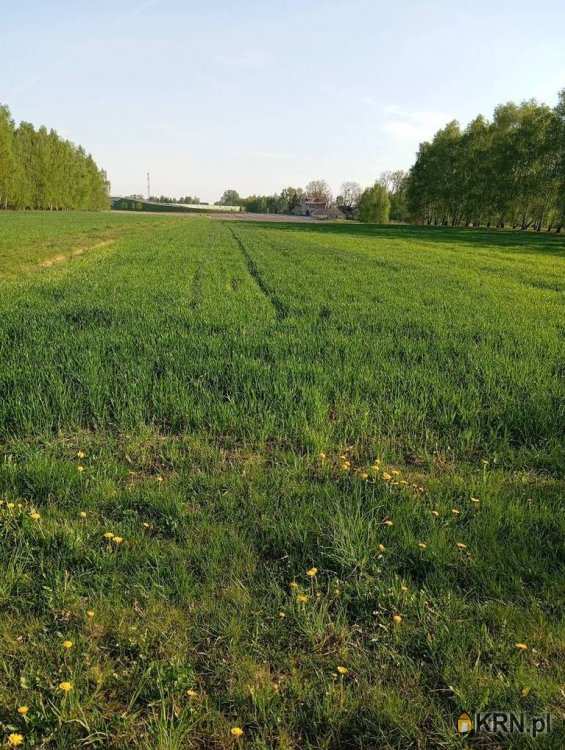 , Piotrków Trybunalski, ul. , Działki  na sprzedaż