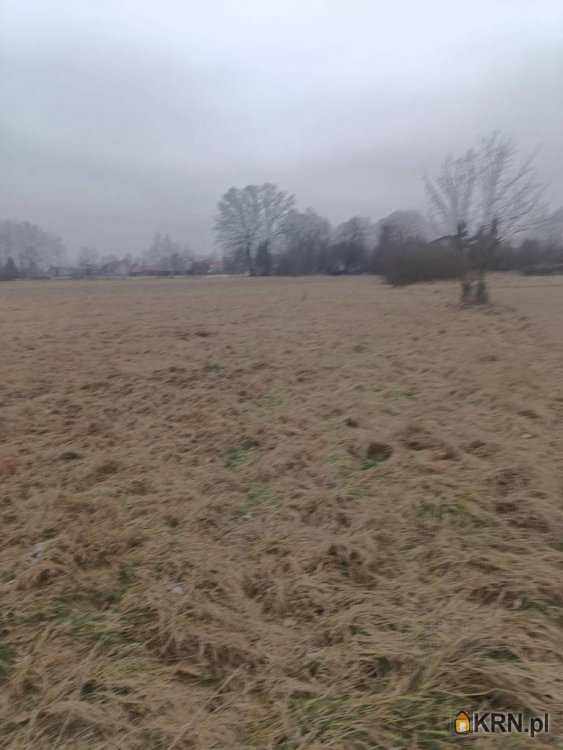 Działki  na sprzedaż, Wola Batorska, ul. , 