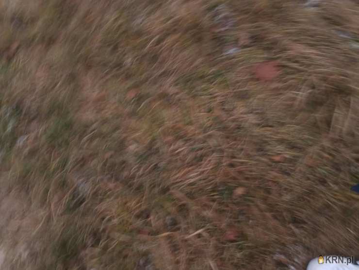 , Działki  na sprzedaż, Wola Batorska, ul. 